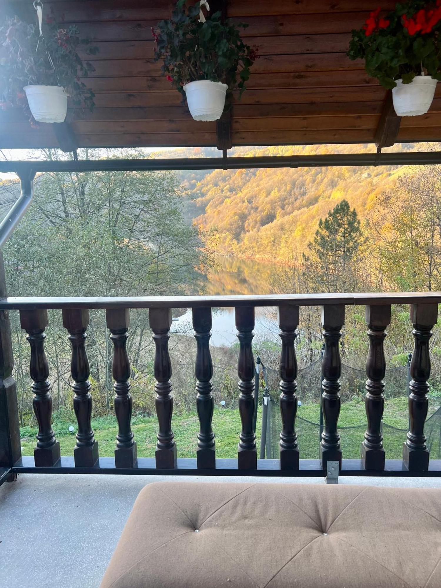 Cabana Baraj Apuseni Mountains Mihoesti Ngoại thất bức ảnh
