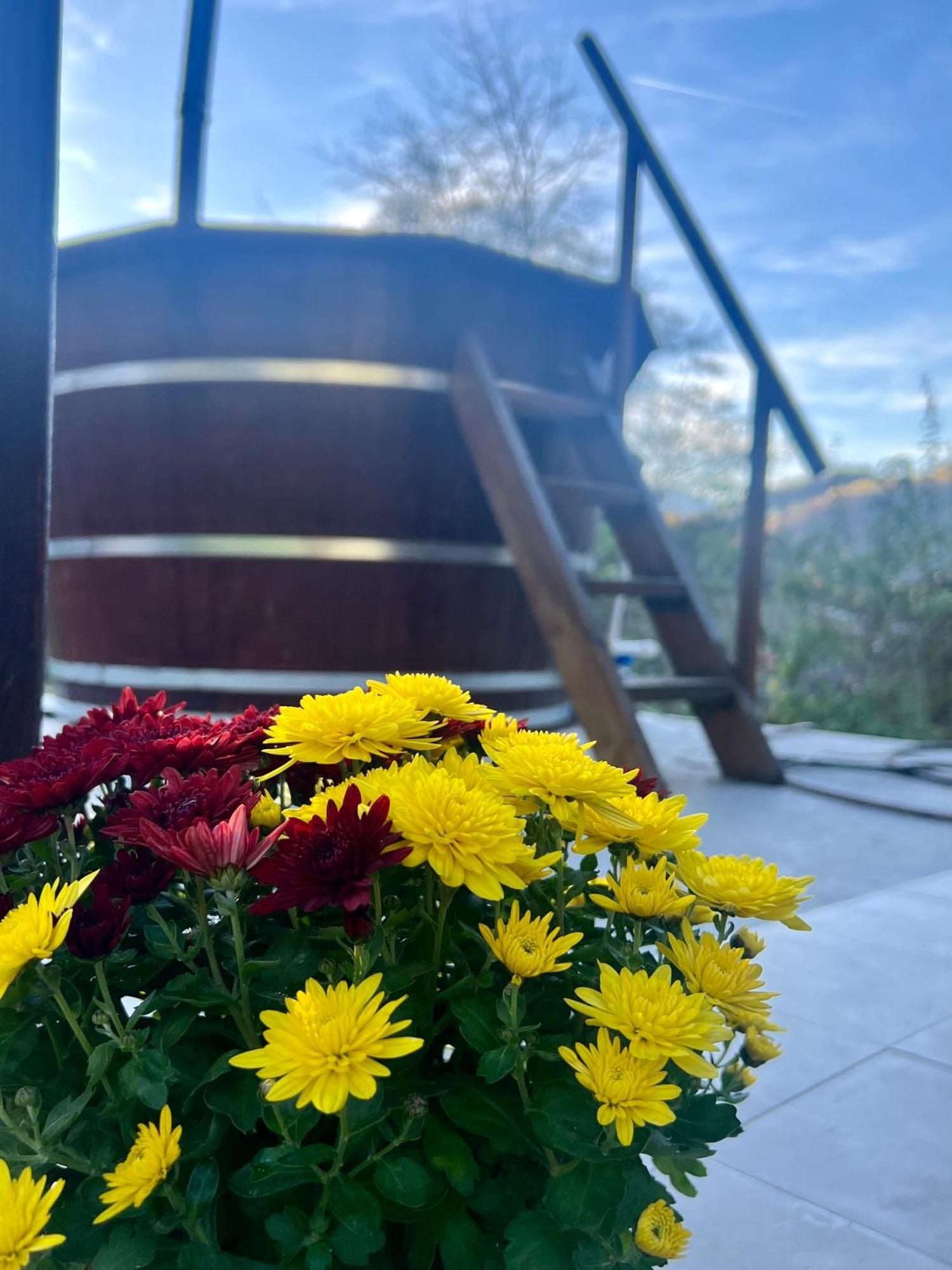 Cabana Baraj Apuseni Mountains Mihoesti Ngoại thất bức ảnh
